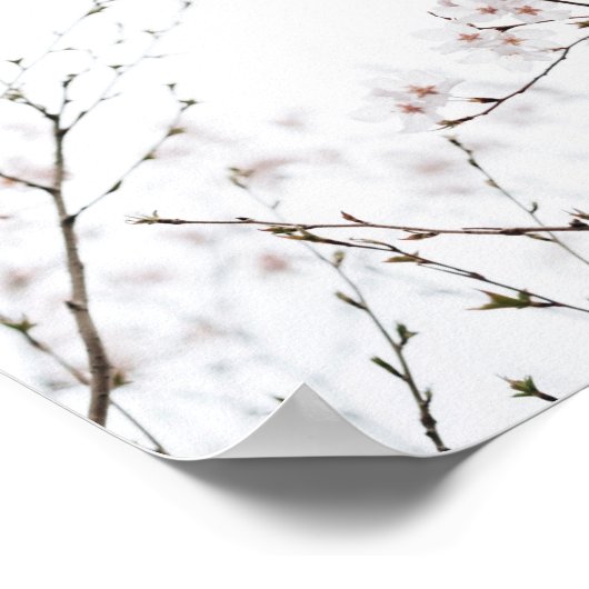 独自の引用文を作カスタム成 – 白い花 ポスター (角)