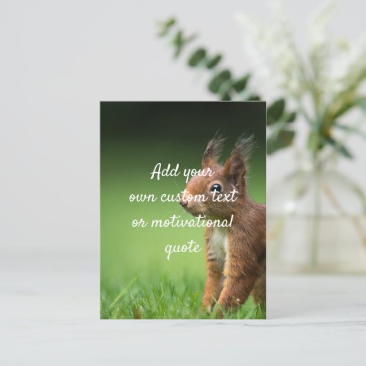 独自の引用文カスタムの作成 – リス ポストカード (スタンド正面)