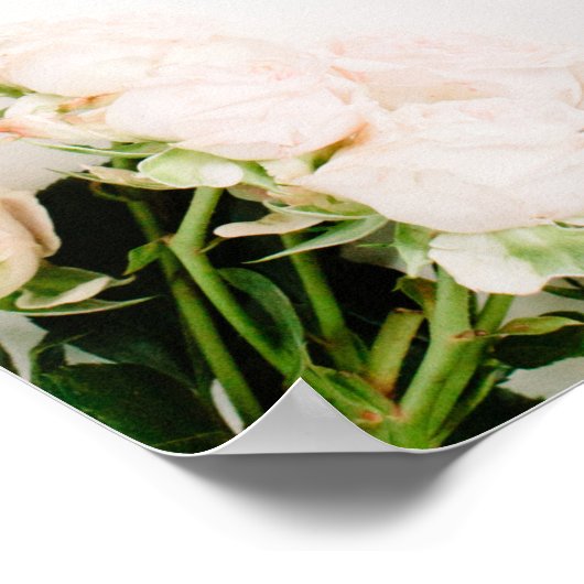 独自の引用文カスタムポスターの作成 – フローラ ポスター (角)