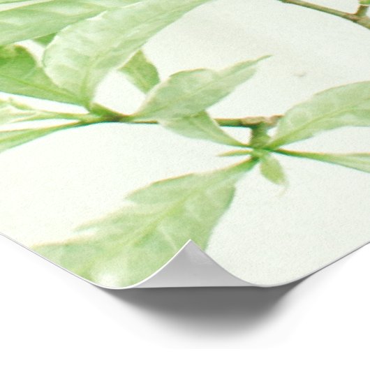 独自の引用文カスタムポスターの作成 – Botanical ポスター (角)