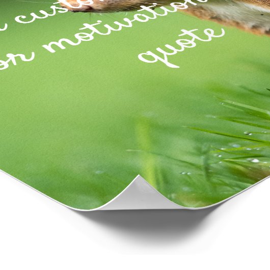 独自の引用文カスタムポスターの作成 – Squirrel ポスター (角)