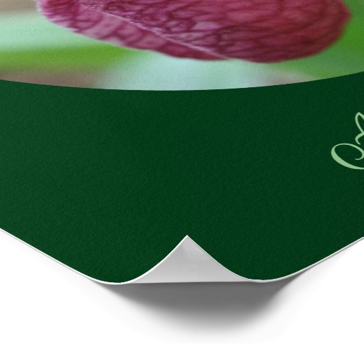 独自の引用文ピンクレディスリッパの花を作成 ポスター (角)