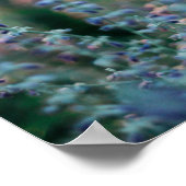 独自の引用文ポスタカスタムーラベンダーフィールドの作成 ポスター (角)