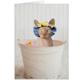 独自の文字の追加：バスタイム