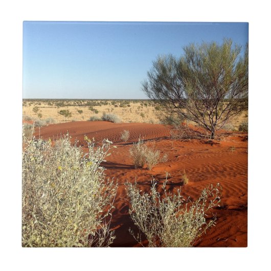 独自の正方形のタイルを作成-オーストラリアの砂漠 タイル (正面)