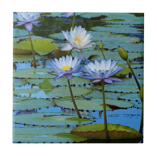 独自の正方形のタイルを作成 – 睡蓮 タイル (正面)