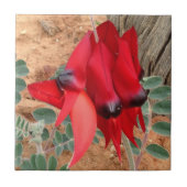 独自の正方形のタイルを作成 – Sturt's Desert Pea タイル (正面)