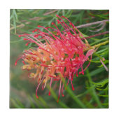 独自の正方形タイルを作成 – Grevillea タイル (正面)