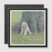 独自の白黒のフォトマグネットを作成 (正面/裏面)