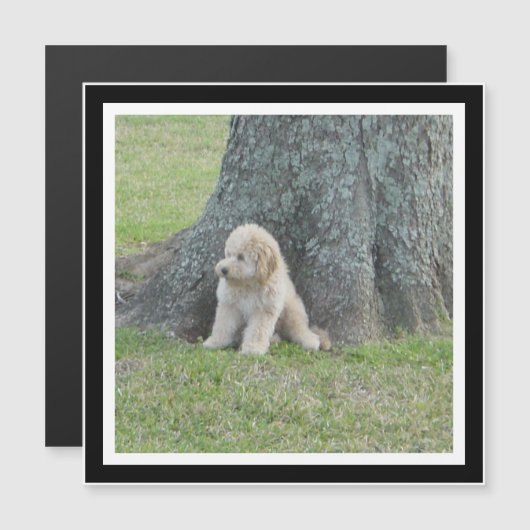 独自の白黒のフォトマグネットを作成 (正面/裏面)