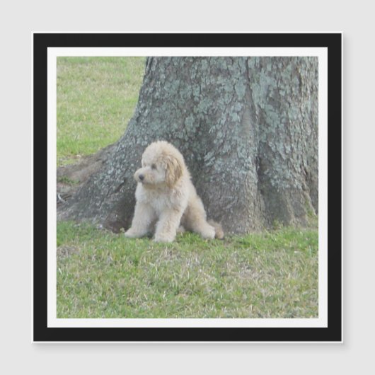 独自の白黒のフォトマグネットを作成 (正面)