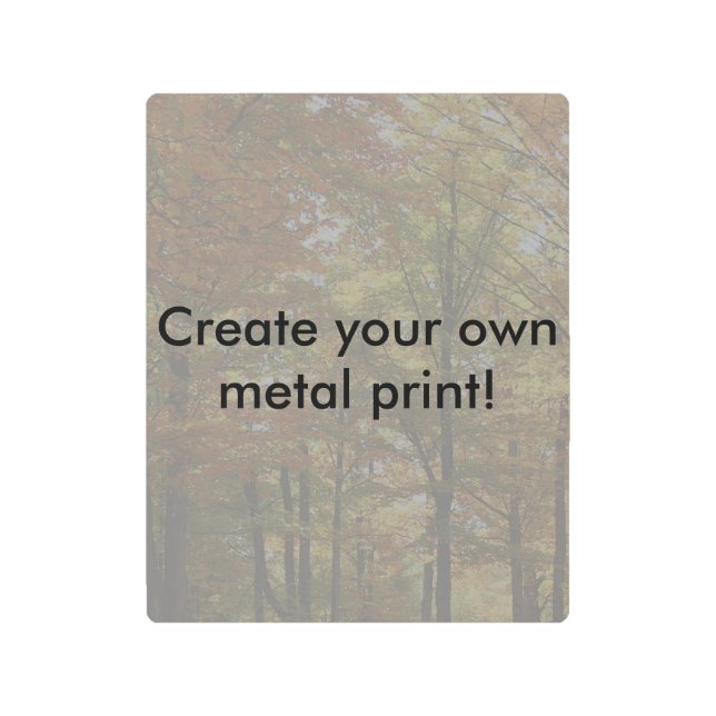 独自の目を引く印象的な金属プリントを作成 メタルプリント (正面)