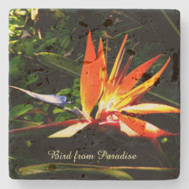 独自の石コースターを作成 – Bird of Paradise ストーンコースター