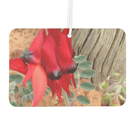 独自の空気清浄機を作成 カーエアーフレッシュナー (裏面)