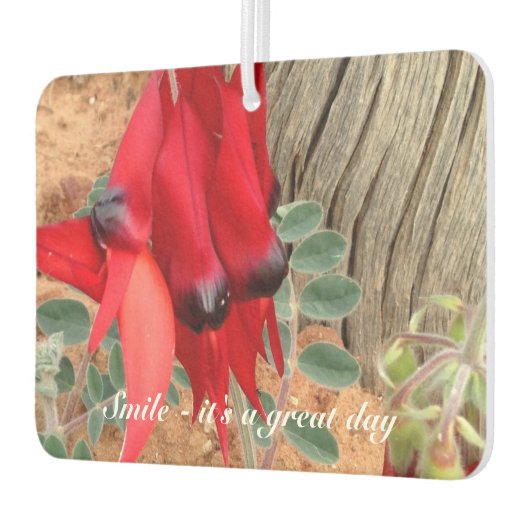 独自の空気清浄機を作成 カーエアーフレッシュナー (左)