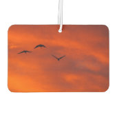 独自の空気清浄機を作成 カーエアーフレッシュナー (裏面)