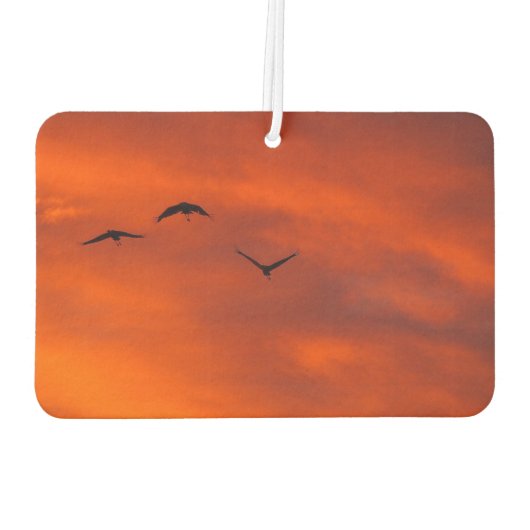 独自の空気清浄機を作成 カーエアーフレッシュナー (裏面)