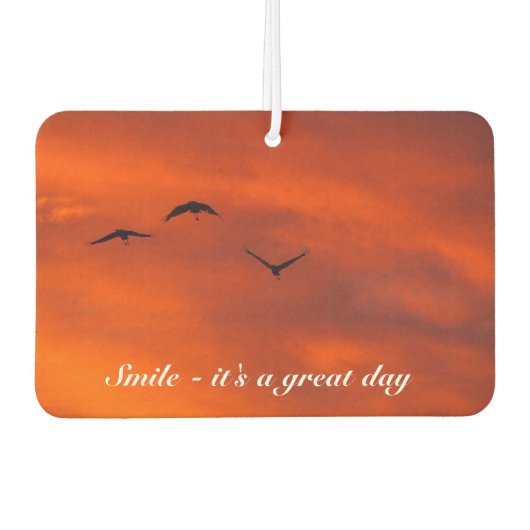 独自の空気清浄機を作成 カーエアーフレッシュナー (正面)