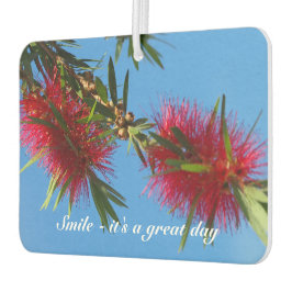 独自の空気清浄機を作成 カーエアーフレッシュナー