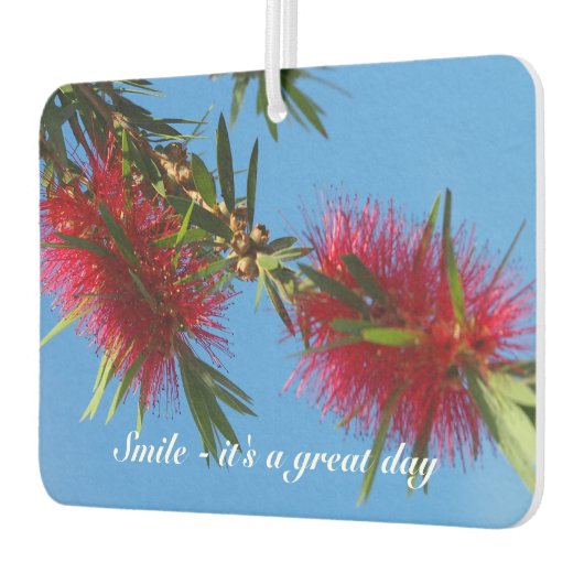 独自の空気清浄機を作成 カーエアーフレッシュナー (左)