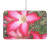 独自の空気清浄機を作成 カーエアーフレッシュナー (裏面)