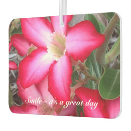 独自の空気清浄機を作成 カーエアーフレッシュナー