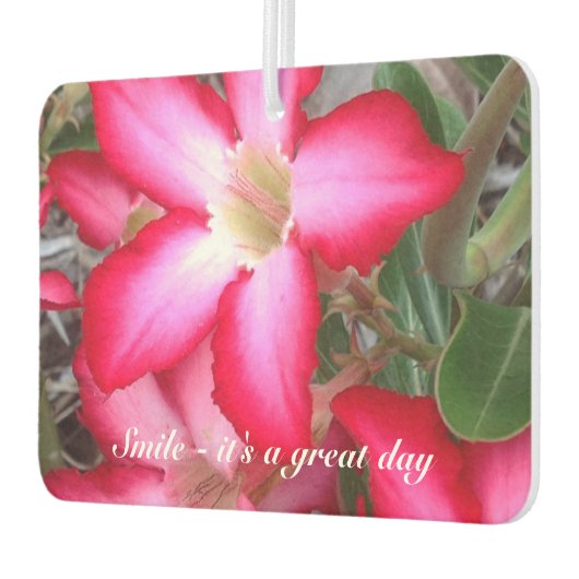 独自の空気清浄機を作成 カーエアーフレッシュナー (左)