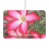 独自の空気清浄機を作成 カーエアーフレッシュナー (正面)