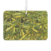 独自の空気清浄機を作成 カーエアーフレッシュナー (裏面)