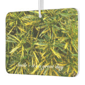 独自の空気清浄機を作成 カーエアーフレッシュナー (左)