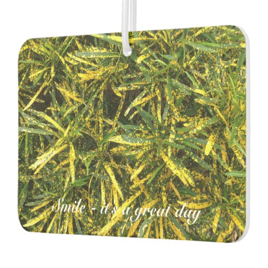 独自の空気清浄機を作成 カーエアーフレッシュナー (左)