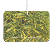 独自の空気清浄機を作成 カーエアーフレッシュナー (正面)