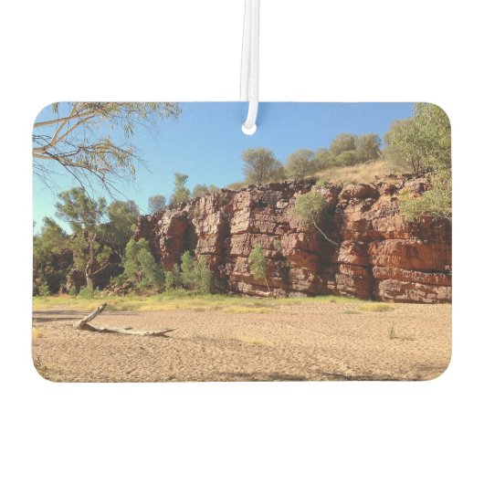 独自の空気清浄機を作成 カーエアーフレッシュナー (裏面)