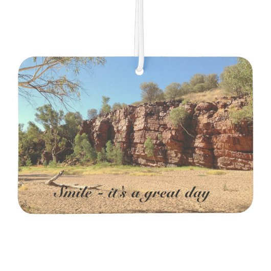 独自の空気清浄機を作成 カーエアーフレッシュナー (正面)