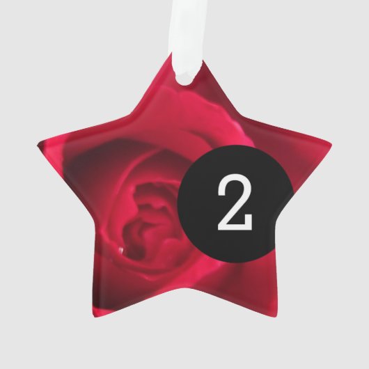 独自の簡単を作シンプル成する2イメージスター オーナメント (裏面)