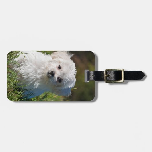 独自の追加フォトの作成カスタム ラゲッジタグ (正面横)