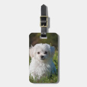 独自の追加フォトの作成カスタム ラゲッジタグ (正面縦)