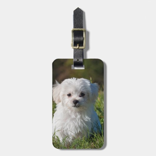 独自の追加フォトの作成カスタム ラゲッジタグ (正面縦)