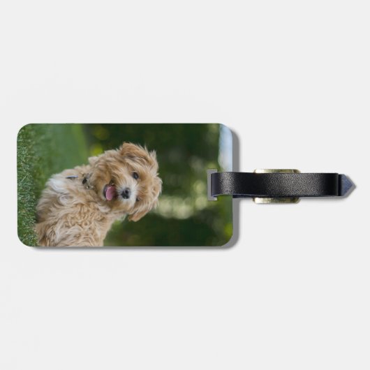 独自の追加フォトの作成カスタム ラゲッジタグ (裏面横)