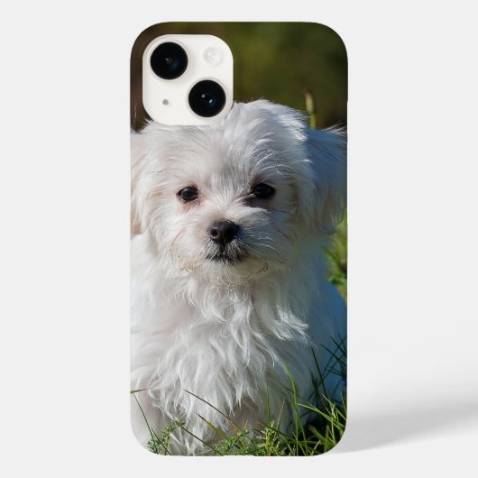 独自の追加フォトの作成カスタム Case-Mate iPhoneケース (裏面)