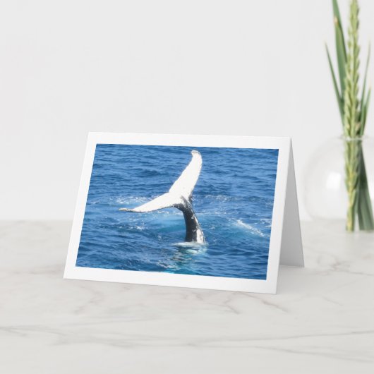 独自の魚釣りフォトカード カード (正面)