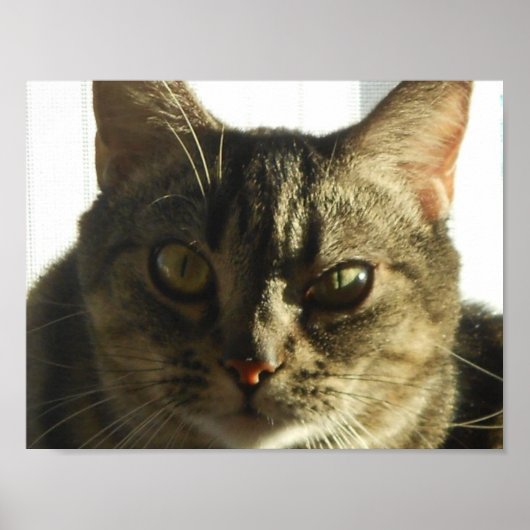 独自の11" x 8.5"ポスターの作成 ポスター (正面)