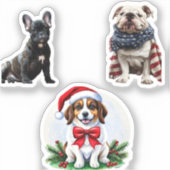 独自の3つのフォトコラージュを作成カスタム シール (正面)