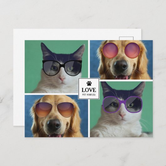 独自の4つのペットフォトコラージュを作成 シーズンポストカード (正面/裏面)