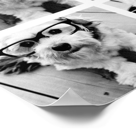 独自のInstagramフォトコラージュの作成ライム ポスター (角)