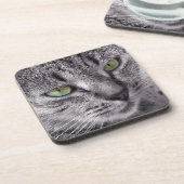 独自のTabby cat drinkコースターセットを作成 コースター (左側)