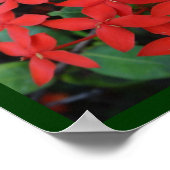 独自性を受け入れる ポスター (角)