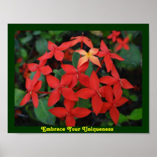 独自性を受け入れる ポスター