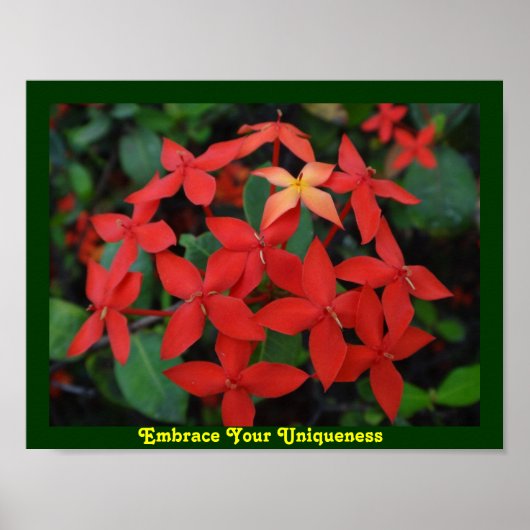 独自性を受け入れる ポスター (正面)