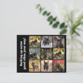 独自9 x写真+文字 ポストカード (スタンド正面)